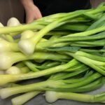 Paprasta, skani žaliųjų svogūnų pasta — laikosi iki 1 metų