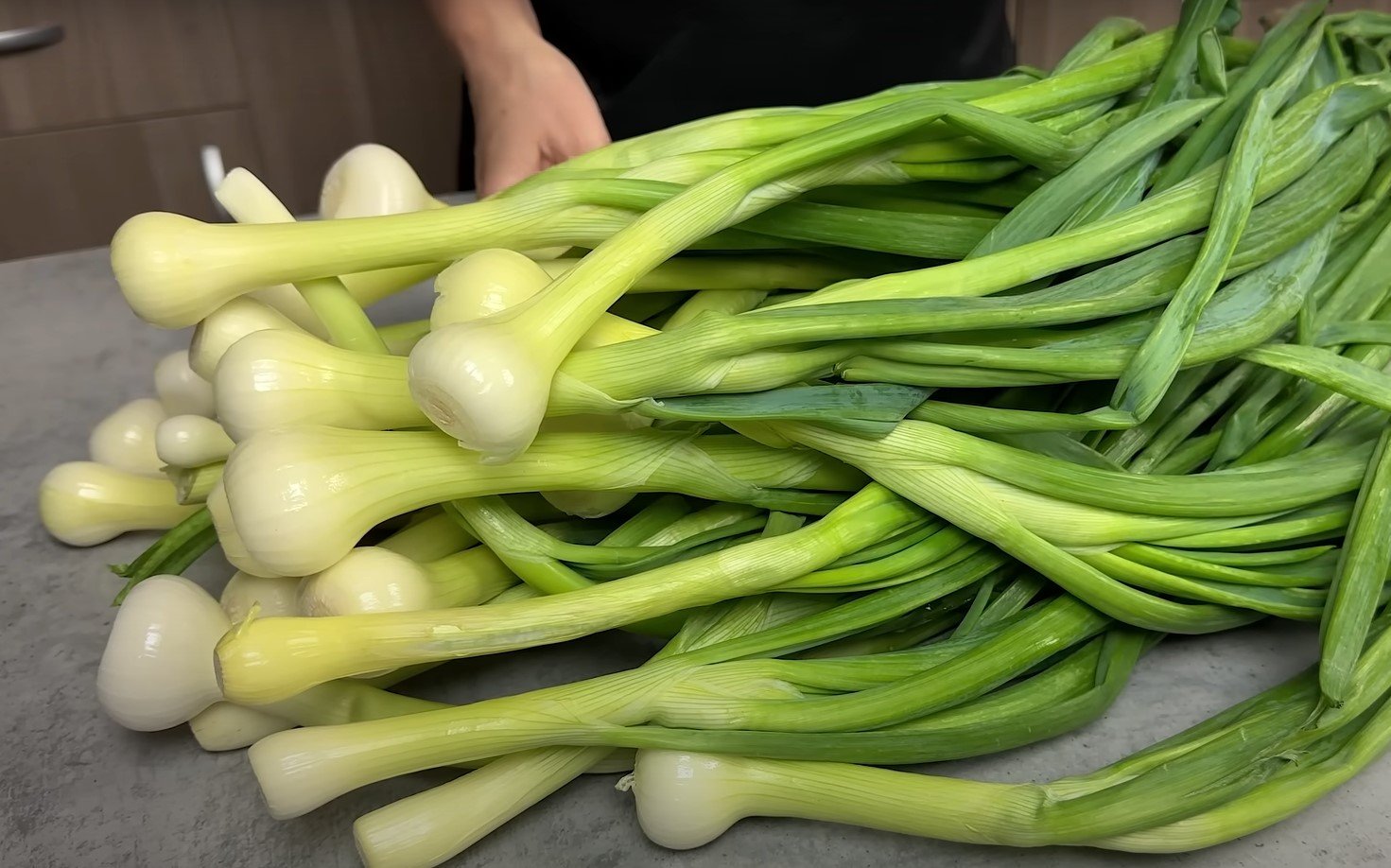 Paprasta, skani žaliųjų svogūnų pasta — laikosi iki 1 metų