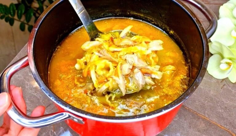 Vištienos makaronų sriuba — soti kasdieninė sriuba, patinka visiems