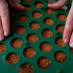 Neįprastas „Medovik“ — koržai be sviesto (receptas, kurį planuota patentuoti)